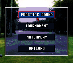World Masters Golf screenshot 3 for Super Nintendo